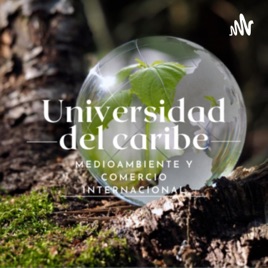 Respaldo y creación de capacidad para el comercio en una economía verde