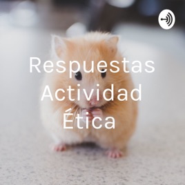 Respuestas Actividad Ética