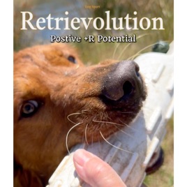 Retrievolution