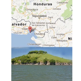 Revista NYT