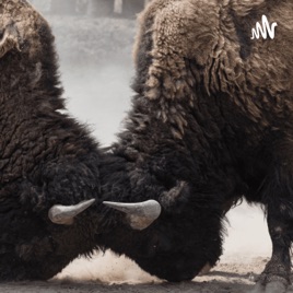 Rivalries Between Vikings And Bears