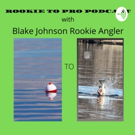 Rookie to Pro