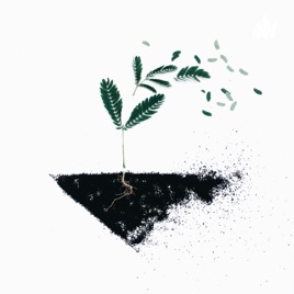 Rooted