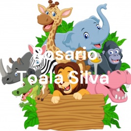 Rosario Toala Silva