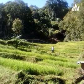 Ruang Kehidupan