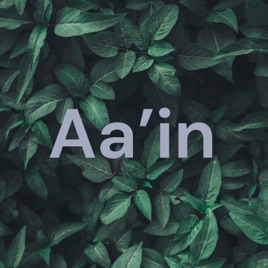 Aa'in
