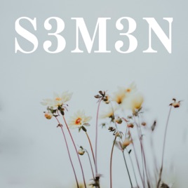 S3M3N