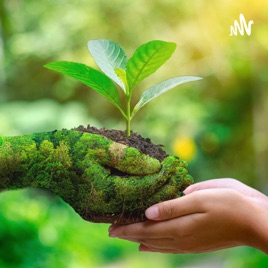 Saber Ambiental Y Pedagógico