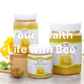 Your Health Life with Bee