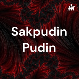 Sakpudin Pudin