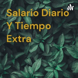 Salario Diario Y Tiempo Extra