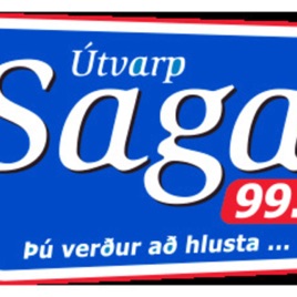 Samantekt Vikunnar