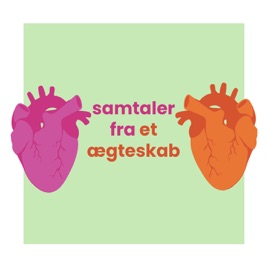 Samtaler fra et ægteskab