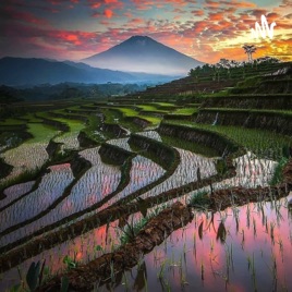 Save Earth