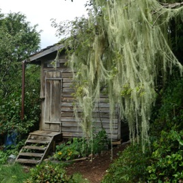 Salmon Coast Field Station Podcasting