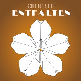 Schneider & Lipp entFalten