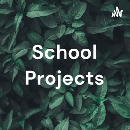 School Projects
