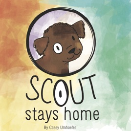 Scout Books