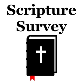 Scripture Survey