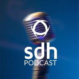 SDH Impact leadership Delivered
