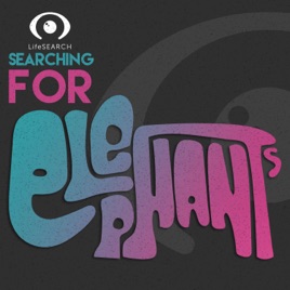 Searching for Elephants
