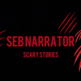 Seb Narrator