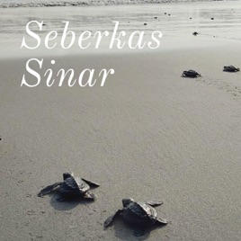 Seberkas Sinar