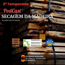 Secagem da Madeira
