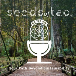 Seeds of Tao: Impact entrepreneurs seeding regenerative paths beyond sustainability