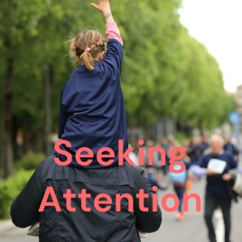Seeking Attention