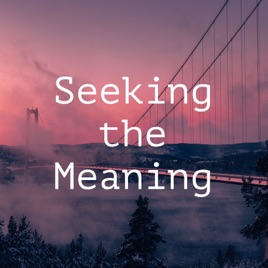 Seeking the Meaning