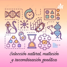 Selección natural, mutación y recombinación genética