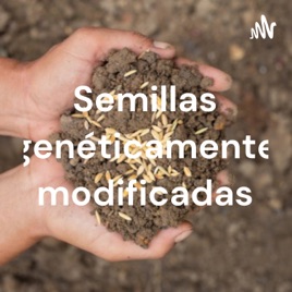 Semillas genéticamente modificadas