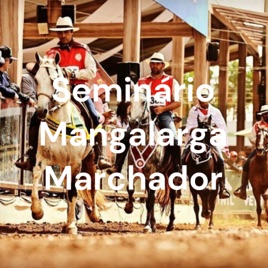 Seminário Mangalarga Marchador
