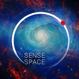 SENSESPACE
