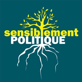Sensiblement Politique