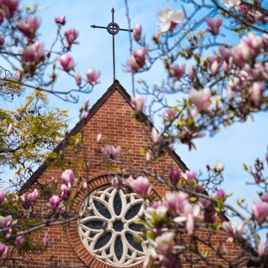 Sermons from St. Edmund's