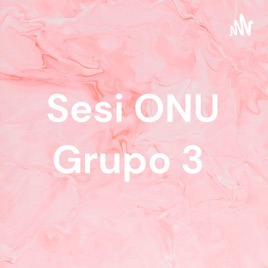 Sesi ONU Grupo 3