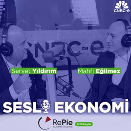 Sesli Ekonomi