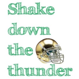 Shake Down The Thunder