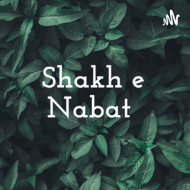 Shakh e Nabat