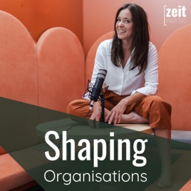 Shaping Organisations