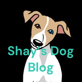 Shay's Dog Blog