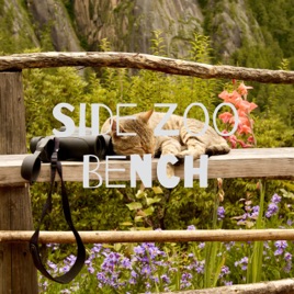 Side Zoo Bench