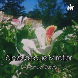 Sinécdoque Miraflor