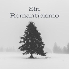 Sin Romanticismo - Una perspectiva más allá de lo evidente.