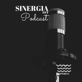 SINERGIA SST