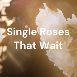 Single Roses That Wait