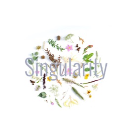 Singularity