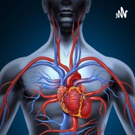 Sistema Cardiovascular